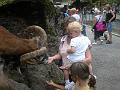 Tierpark Goldau_02